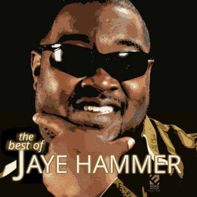Jaye Hammer: The Best Of Jaye Hammer, CD