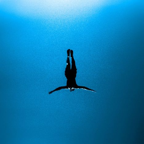 Eine Silhouette eines Schwimmers mit ausgestreckten Armen im tiefblauen Wasser.