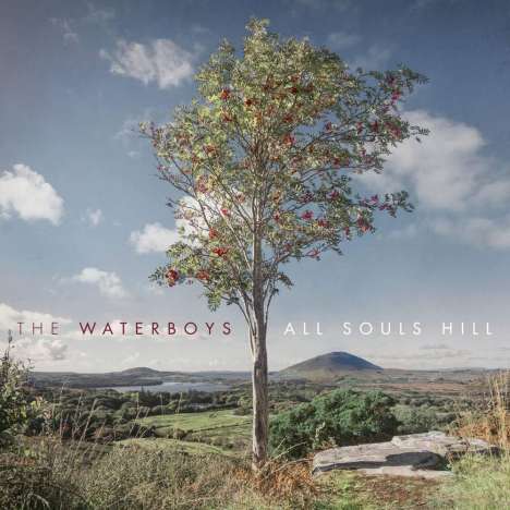 The Waterboys: All Souls Hill (Limited Edition) (Red Vinyl), LP