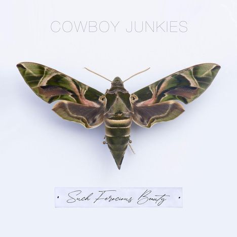 Cowboy Junkies: Such Ferocious Beauty (Limited Edition) (Tan Translucent Vinyl), LP