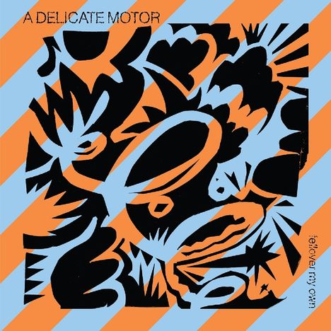 A Delicate Motor: Fellover My Own, LP