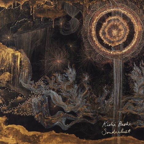 Kishi Bashi: Sonderlust, LP