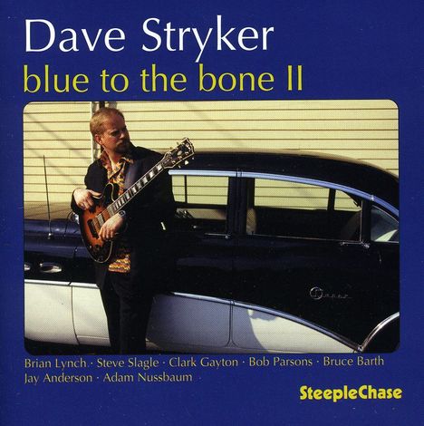 Dave Stryker (geb. 1957): Blue To The Bone II, CD