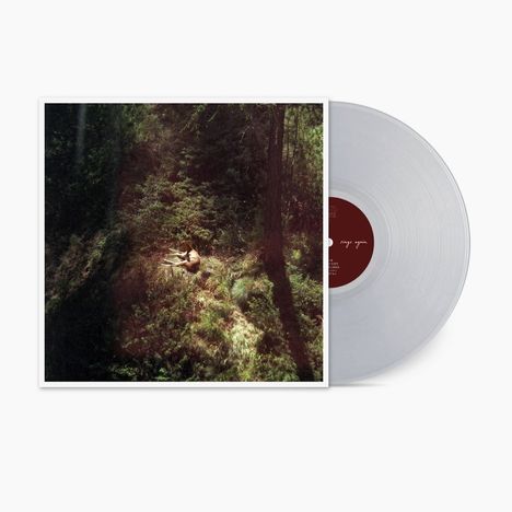 Der Text auf der Schallplatte lautet "re:". Ein Fotografiebild zeigt eine Person, die in einem dichten grünen Wald sitzt.