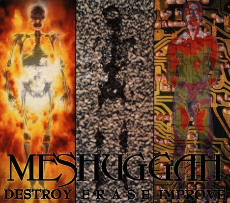 Meshuggah: Destroy Erase Improve, CD