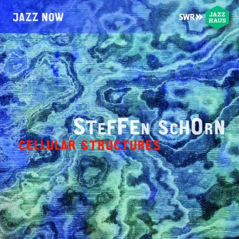 Steffen Schorn (geb. 1967): Cellular Structures: Live 2000, CD
