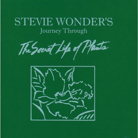 Stevie Wonder (geb. 1950): Journey Through The Secret Life, 2 CDs