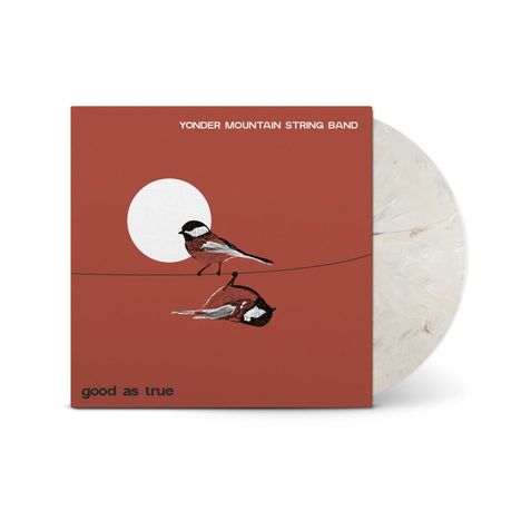 "Yonder Mountain String Band" oben, "good as true" unten. Ein Vogel auf einem Kabel, reflektiert, vor rotem Hintergrund.