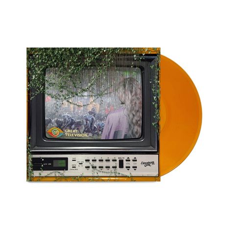 Text "GREAT TELEVISION" auf einem alten Fernseher, umrahmt von Pflanzen; orangefarbene Vinyl-Schallplatte im Hintergrund.