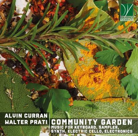 Alvin Curran &amp; Walter Prati - Community Garden, CD