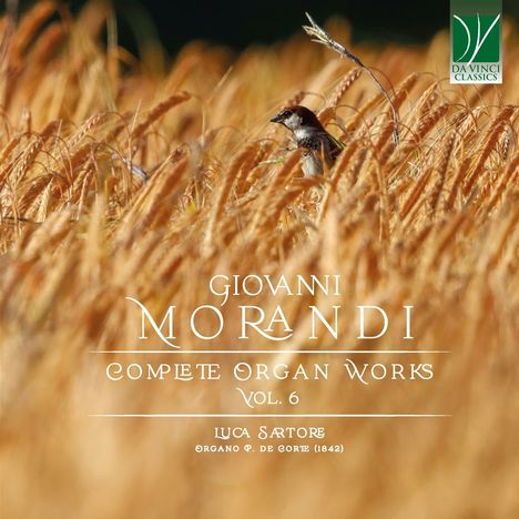 Giovanni Morandi (1777-1856): Orgelwerke Vol.6, CD