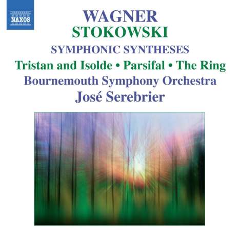 Richard Wagner (1813-1883): Stokowski-Arrangements, CD