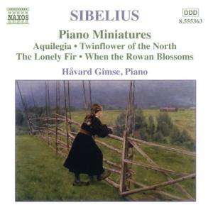 Jean Sibelius (1865-1957): Klavierwerke Vol.4, CD