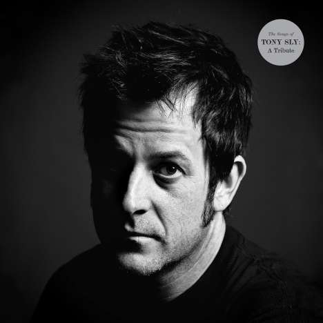 The Songs Of Tony Sly: A Tribute (Limited Edition) (Clear Vinyl), 2 LPs