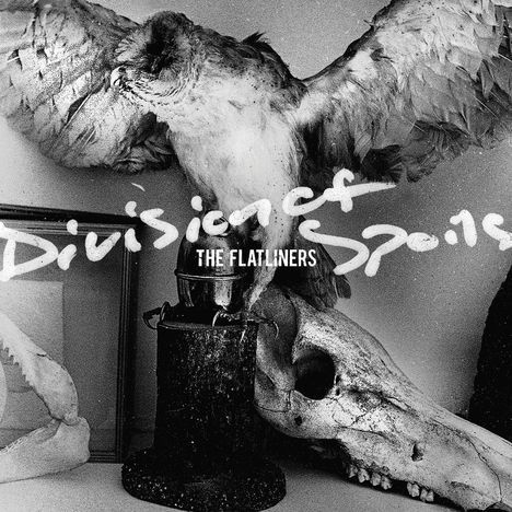 The Flatliners: Division Of Spoils, CD