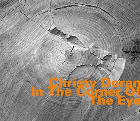 Christy Doran (geb. 1949): In The Corner Of The Eye, CD