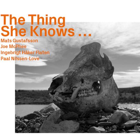 Mats Gustafsson, Joe McPhee, Ingebrigt Håker Flaten: The Thing She Knows..., CD
