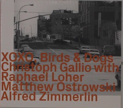 "XOXO, Birds & Dogs" und Namen in orange. Schwarz-weißes Straßenszene mit Autos und Gebäuden.