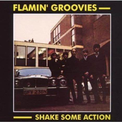 The Flamin' Groovies: Shake Some Action, CD