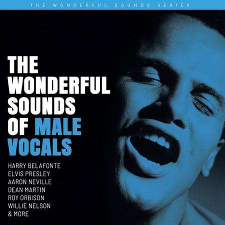 The Wonderful Sounds Of Male Vocals (200g) (Limited Edition), 2 LPs