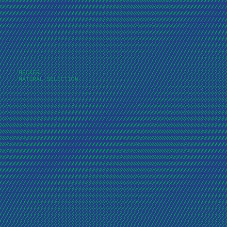 Text: "HECKER NATURAL SELECTION". Eine Kombination aus blauen und grünen diagonalen Linien.