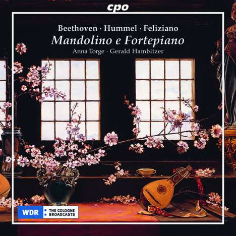 Mandolino e Fortepiano - Sonatas &amp; Variazioni, CD