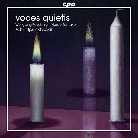 schnittpunktvokal - voces quietis, CD