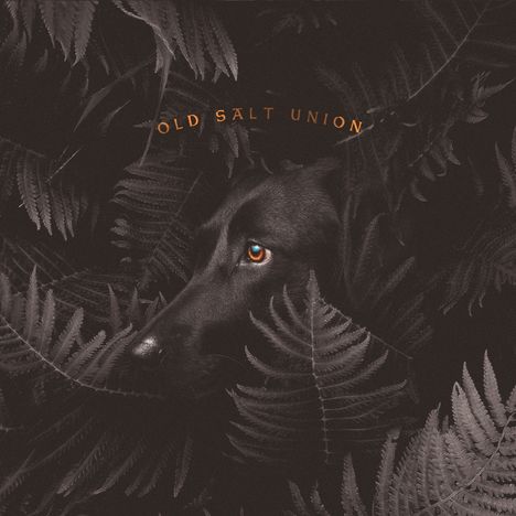 Old Salt Union: Where The Dogs Don't Bite, CD