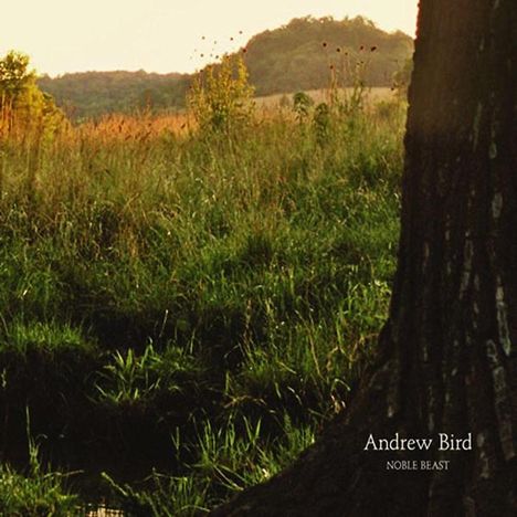 Andrew Bird (geb. 1973): Noble Beast, 2 LPs