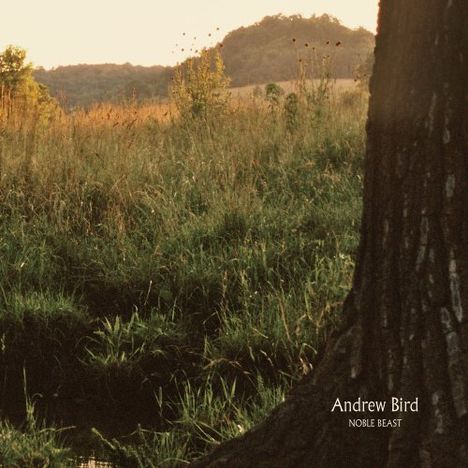 Andrew Bird: Noble Beast, CD