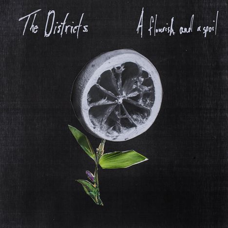 The Districts: A Flourish And A Spoil, LP