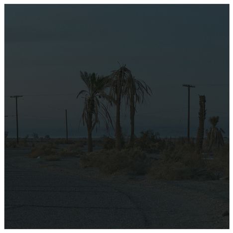 Dunkle Szene mit Palmen am Straßenrand, vereinzelt Strommasten, dämmernde Atmosphäre mit schwachem Licht.