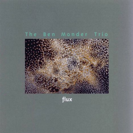 Ben Monder (geb. 1962): Flux, CD