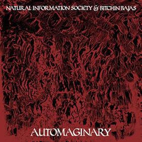 Natural Information Society & Bitchin Bajas: Automaginary, LP