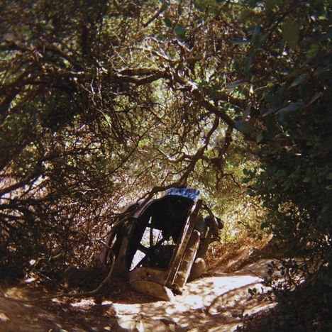 Ty Segall: Possession (Limited Indie Edition), MC