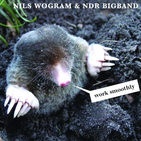 Nils Wogram (geb. 1972): Work Smoothly, CD