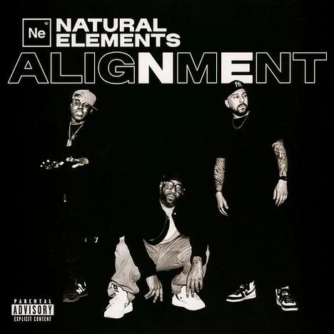 "NATURAL ELEMENTS ALIGNMENT" in großen Buchstaben oben. Drei Männer in Schwarz-Weiß posieren darunter.