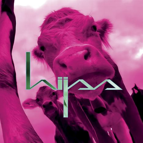 Text: "hijax". Drei Kühe, Nahaufnahme, rosa gefärbt.