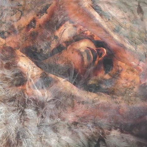 Cover/Produkt Ansicht vergrößern