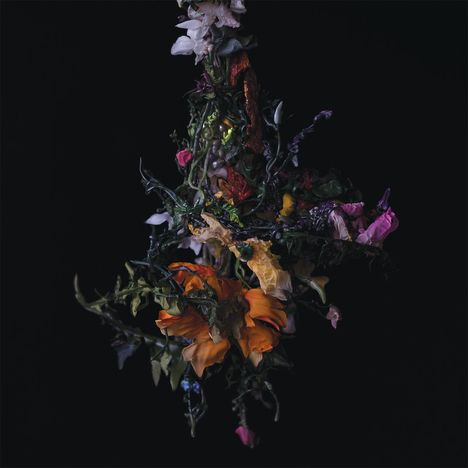 Big Brave: Nature Morte, LP