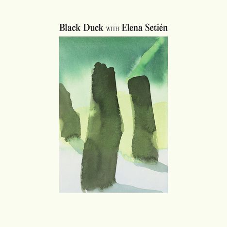 „Black Duck with Elena Setién“. Illustration: Grüne, vertikale Formen auf hellgrünem Hintergrund.