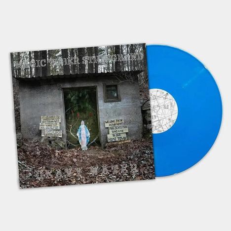 Texte: "IT IS HARD-TO UNDERSTAND WHY OUT-OF-TOWNERS...", "WE LOVE THESE DEAR HEARTS AND GENTLE PEOPLE...", blauer Schallplatten-Vinyl.