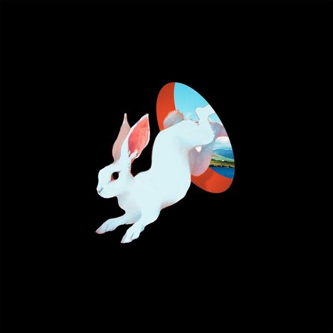 Ganser: Animal Hospital (Future Blue Vinyl), LP