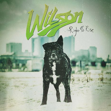 Wilson: Right To Rise, CD