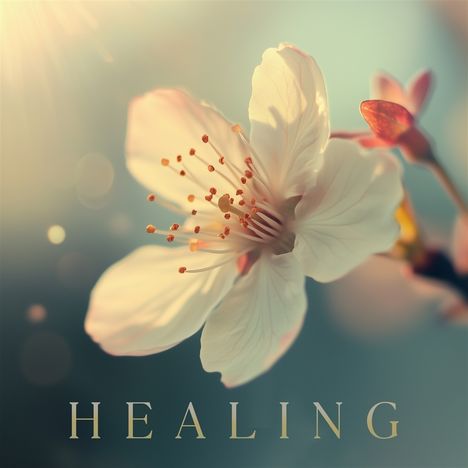 „HEALING“ in eleganten Buchstaben, Nahaufnahme einer zarten Blüte in sanften, pastellfarbenen Tönen.