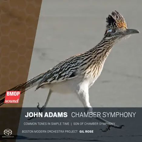 JOHN ADAMS CHAMBER SYMPHONY; Werke: Common Tones in Simple Time. Ein Vogel mit markantem Schopf steht auf Asphalt.