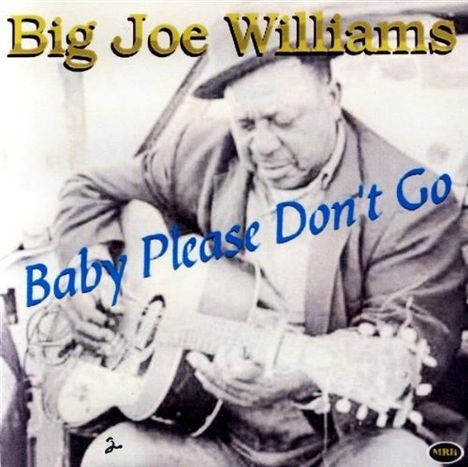 Big Joe Williams (Guitar/Blues): Baby Please Don't Go, CD