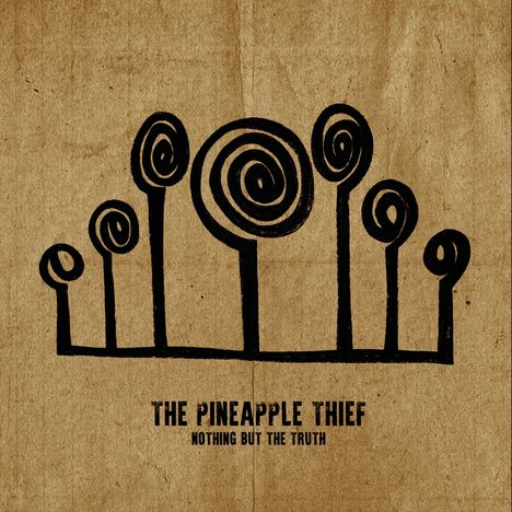 The Pineapple Thief: Nothing But The Truth, 2 LPs