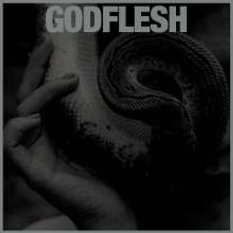 Godflesh: Purge, LP