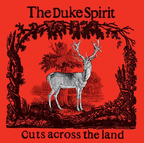 The Duke Spirit: Cuts Across the Land, 2 LPs